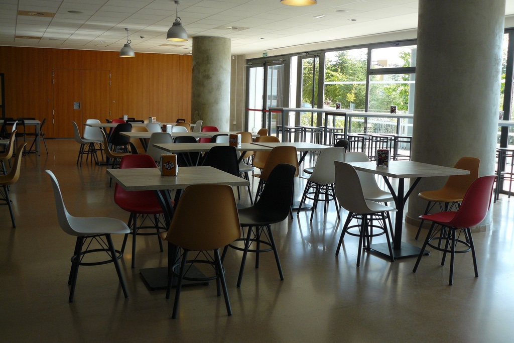 fotos cafeteria 1