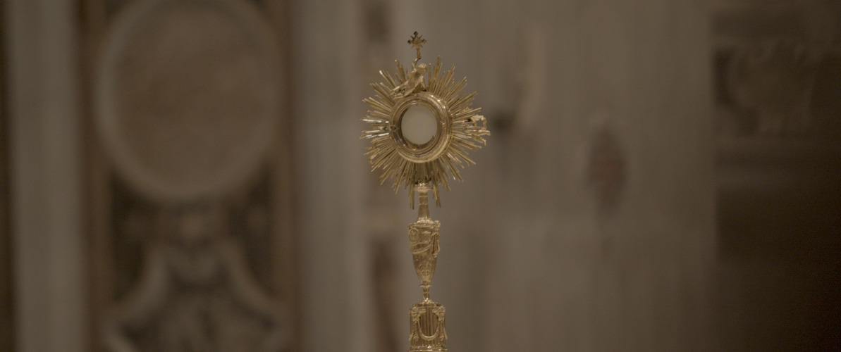 DOCUMENTAL VIVO HQ.00 58 42 23.red2